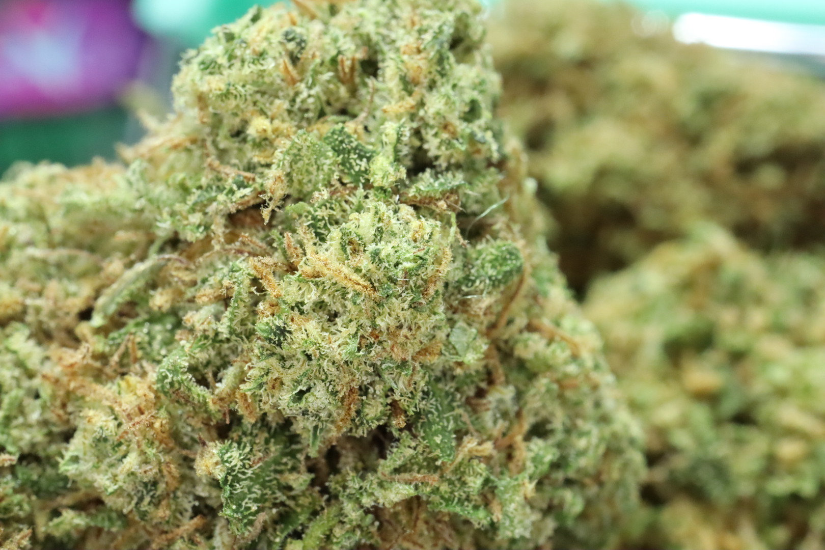 Tropicanna OG CBD Blüten 