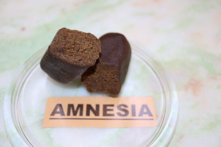 Charas Cbd Hasch Amnesia 41% Cbd