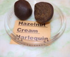 Charas CBD Hasch 41% Hazelnut