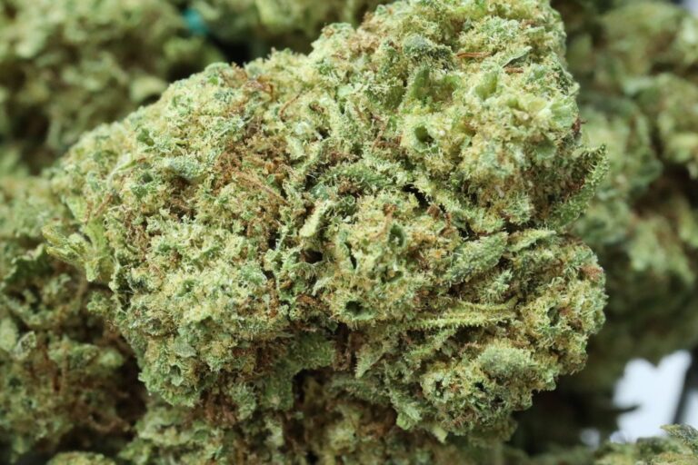 Lemon Kush