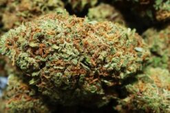 Alternative view of Blueberry Kush