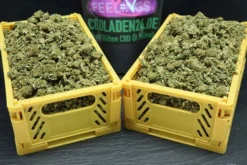 CBD Krümel & Trimm 100g