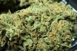 Blue Dream California