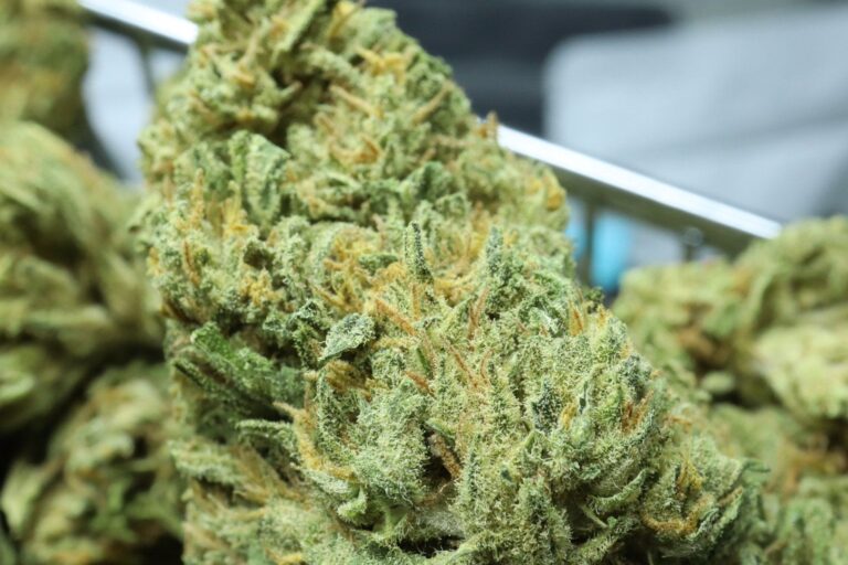 Kiwi Kush