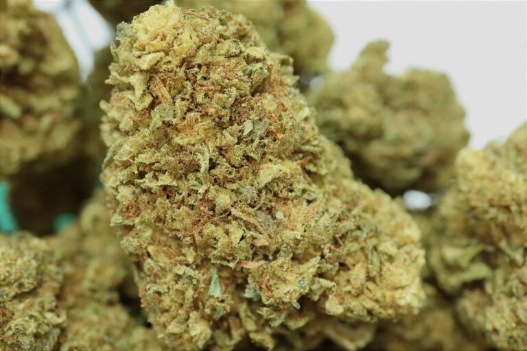 Lemon Cherry Kush