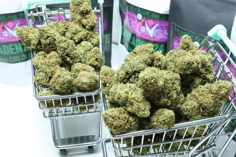 Lemon Haze