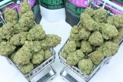Skywalker