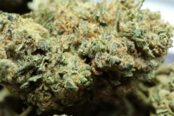 Sour Diesel